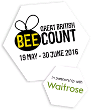 bee count logo